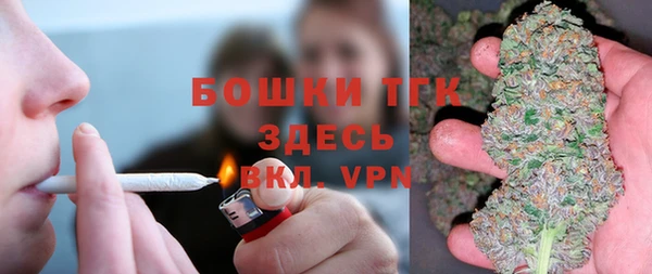 сатива Беломорск