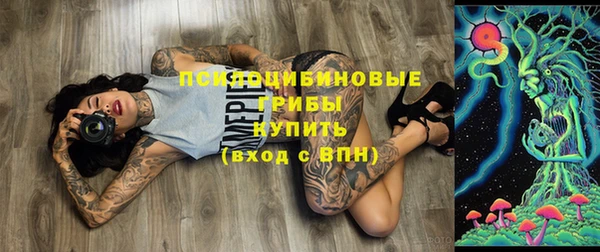бутират Богданович