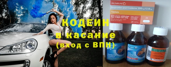 сатива Беломорск